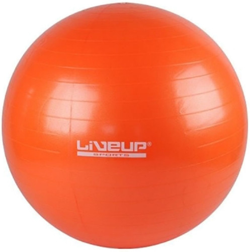 Мяч для фітнесу / фітбол LiveUp LS3221-55