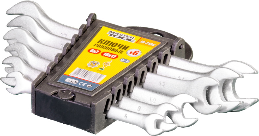Набор инструментов Master Tool 70-2106