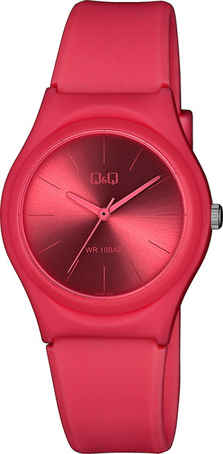 Наручний годинник Q&Q VQ86J059Y