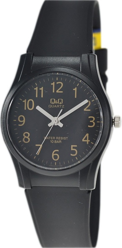 Наручные часы Q&Q VQ02J012Y
