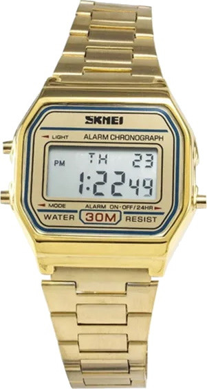 Наручний годинник SKMEI 1123GD