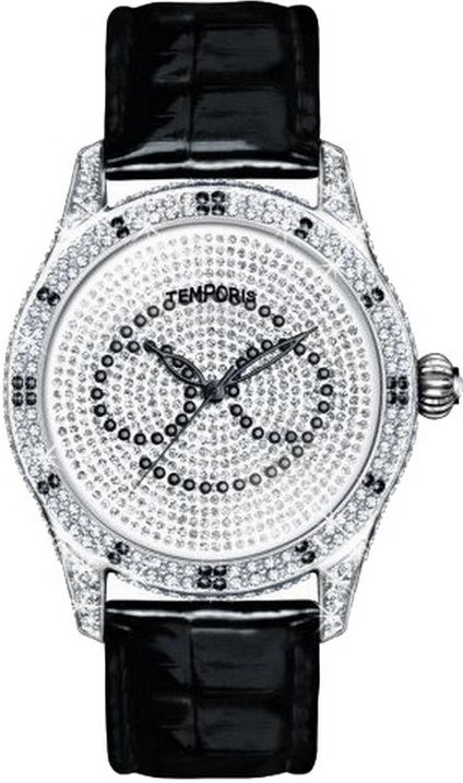 Наручний годинник Temporis T027LS.04