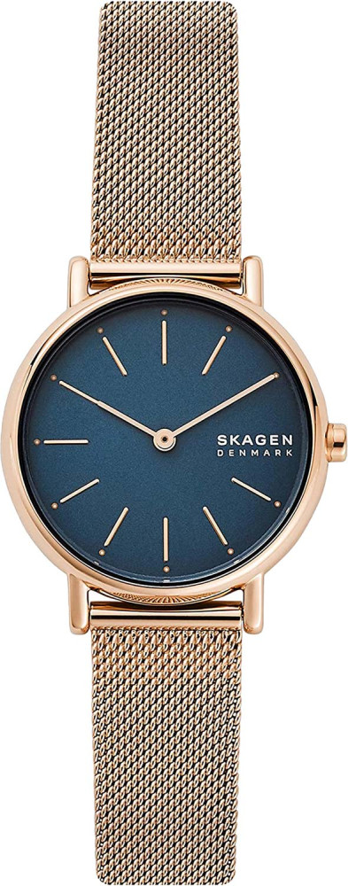 Наручний годинник Skagen SKW2837