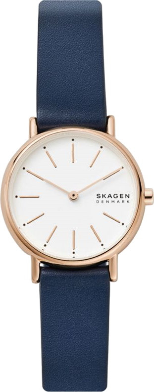 Наручний годинник Skagen SKW2838