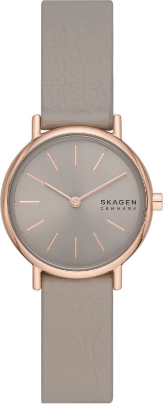 Наручний годинник Skagen Signatur Lille SKW3060