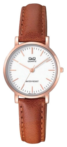 Наручний годинник Q&Q Q979J101Y