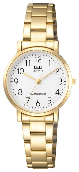Наручний годинник Q&Q Q979J004Y