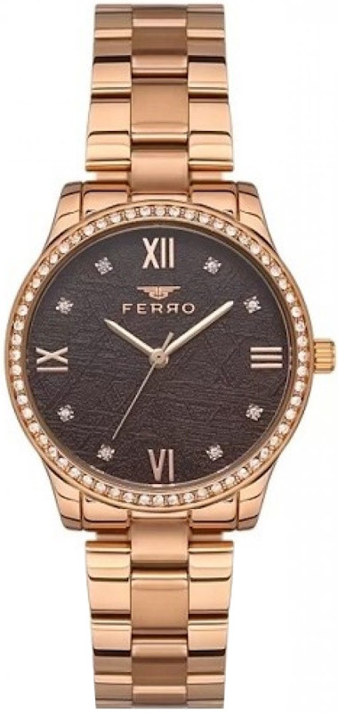 Наручний годинник Ferro FL21286A-C6