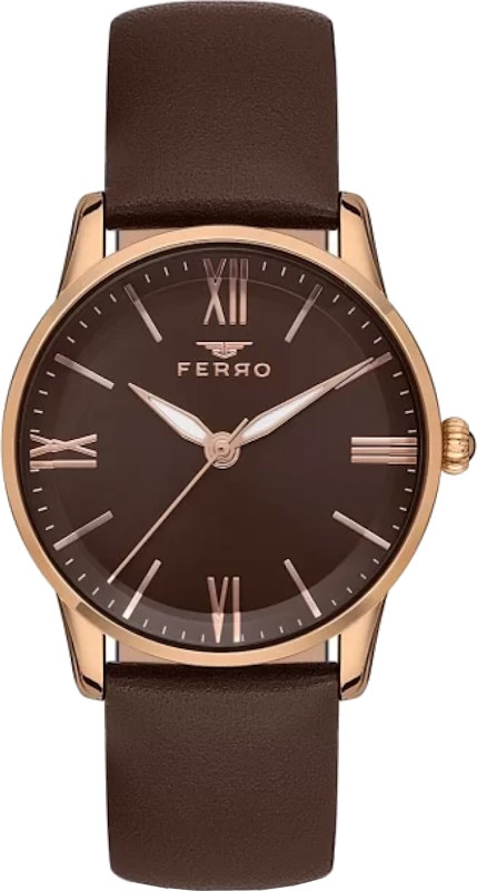 Наручний годинник Ferro F21182B-S