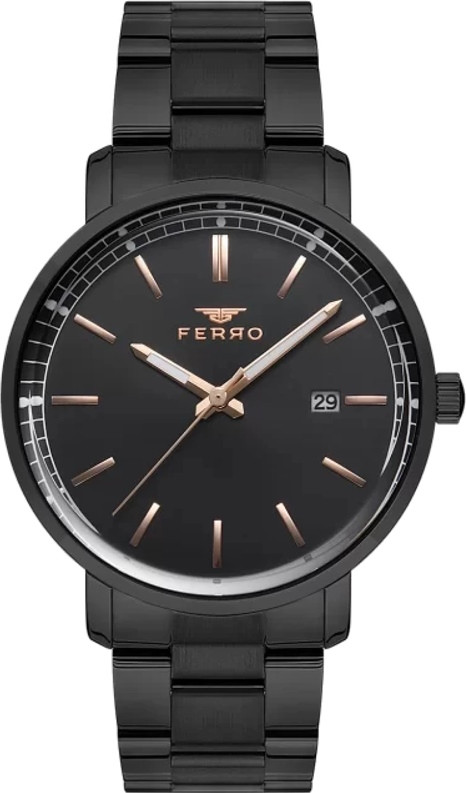Наручний годинник Ferro F11148A-G