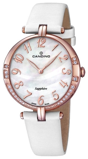 Наручний годинник Candino C4602/2