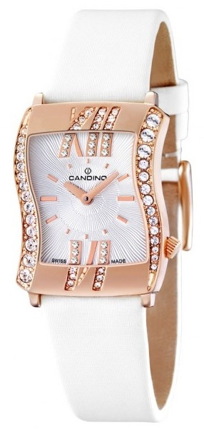 Наручний годинник Candino C4425/1