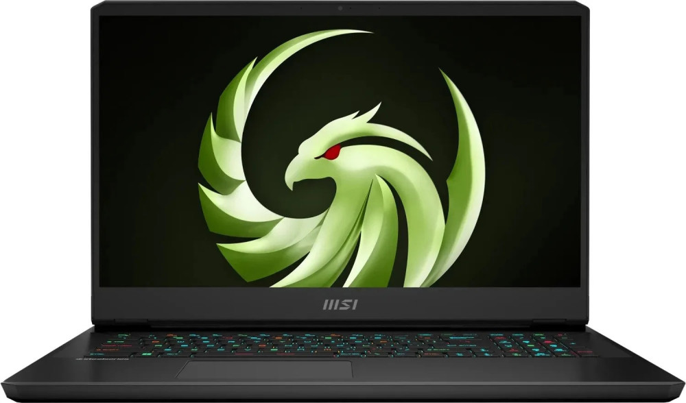 Ноутбук MSI Alpha 17 C7VG C7VG-035XPL