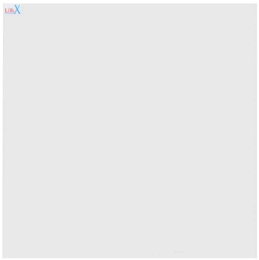 Конвектор LIFEX BioAir 700 R