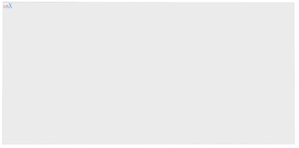 Конвектор LIFEX BioAir 1400 R