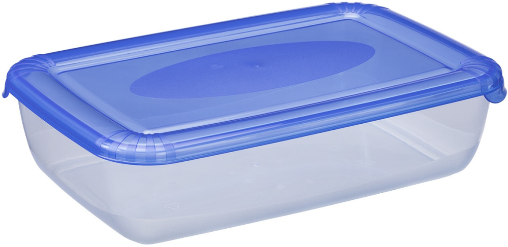 Пищевой контейнер Plast Team Polar 1673