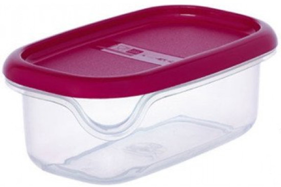 Пищевой контейнер Rival 391200