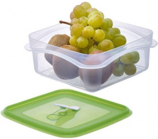 Пищевой контейнер Rival 389100