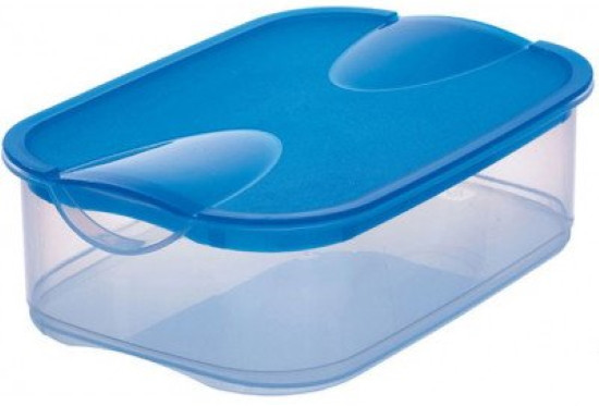 Пищевой контейнер Rival 151700