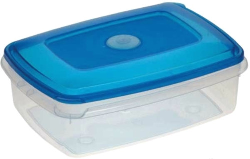 Пищевой контейнер Plast Team PT1079