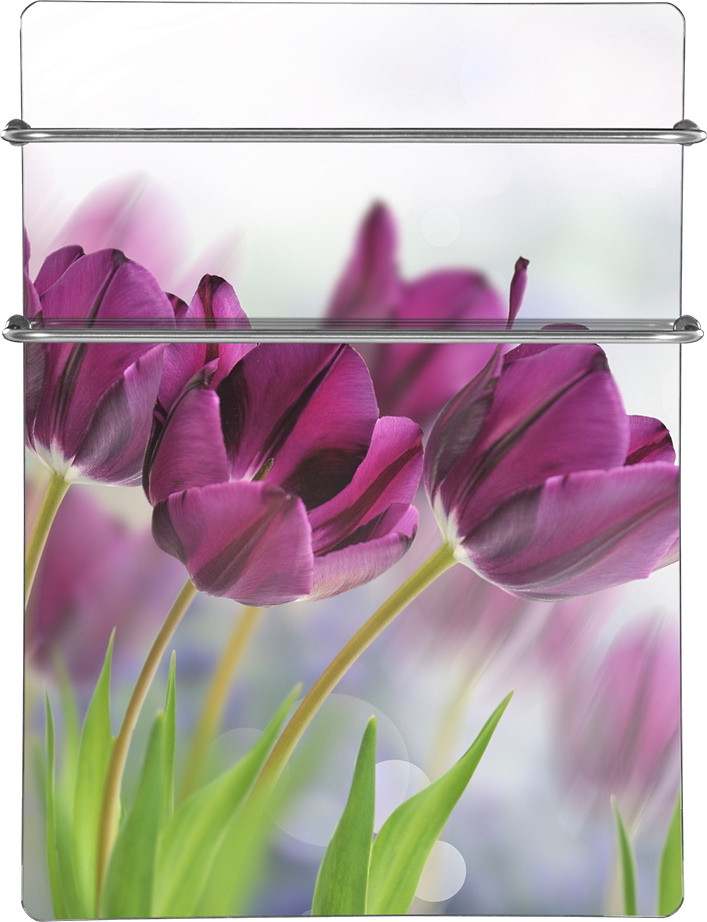 Рушникосушарка Teplaja Kompanija HGlass Basic HGlass GHT 5070 Basic 500x700