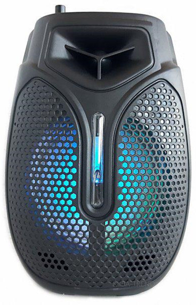 Портативная колонка Havit HV-SF133BT