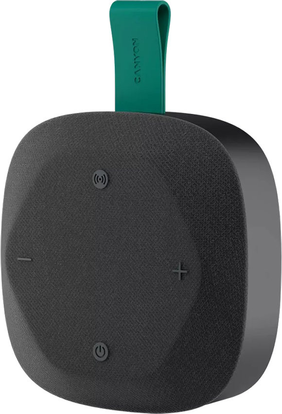 Портативная колонка Canyon CNE-CBTSP10