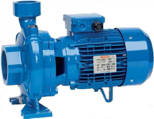 Поверхностный насос Speroni CFM 300