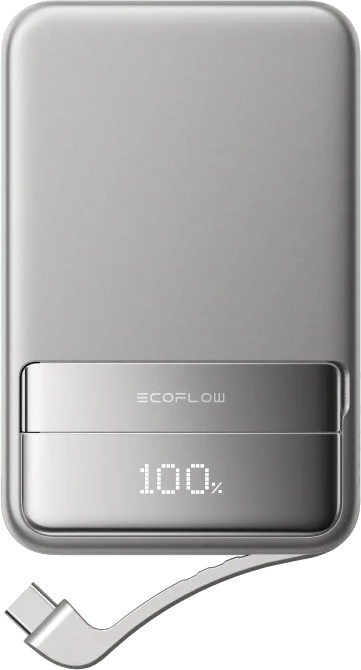 Павербанк EcoFlow Rapid 10000 65W
