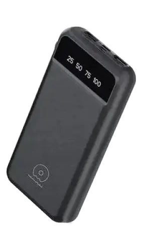 Powerbank WUW Y111