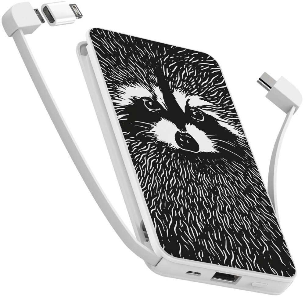 Powerbank ZIZ Raccoon 10000