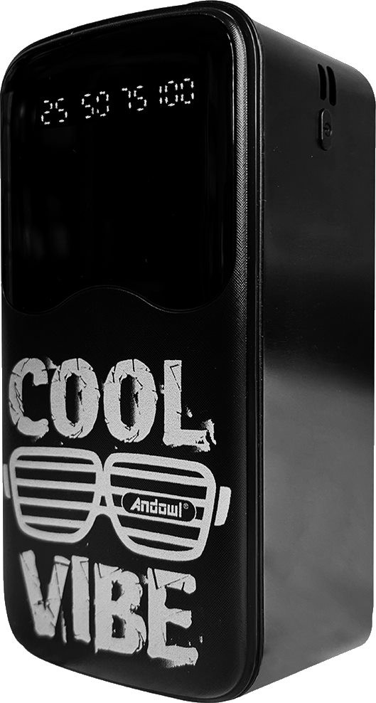 Powerbank Andowl Q-CD906