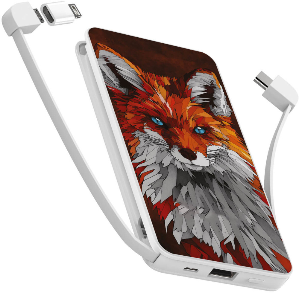 Powerbank ZIZ Fox 10000