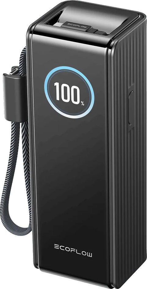 Павербанк EcoFlow Rapid 25000 100W with cables USB-C