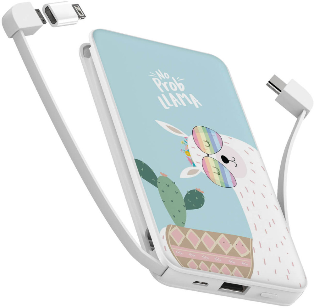 Powerbank ZIZ No Probllama 2 10000