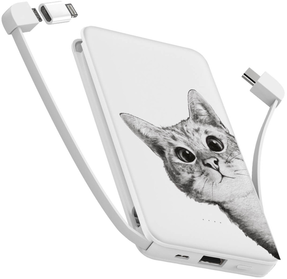 Powerbank ZIZ Hey cat 10000