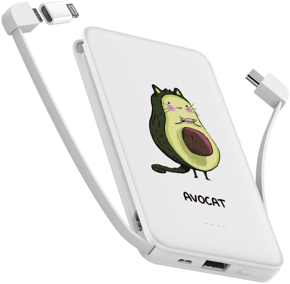 Powerbank ZIZ Avocat 10000