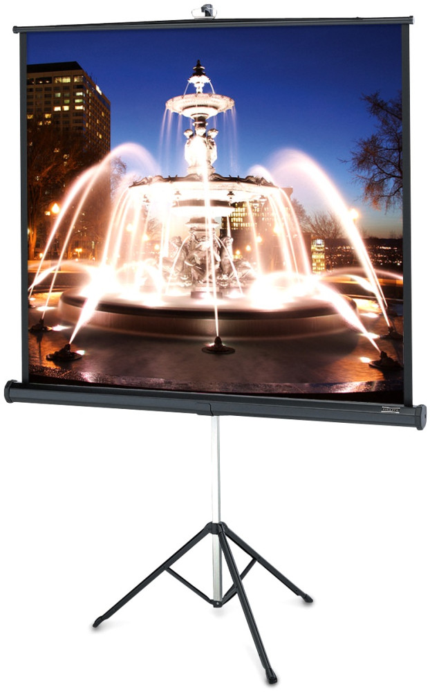 Проекционный экран Projecta ProView 127x127