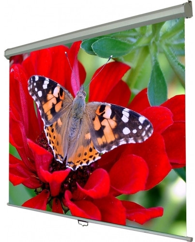 Проекционный экран Walfix Auto-lock Manual 331x185