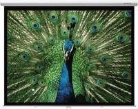 Проєкційний екран Grandview Cyber Manual 203x152