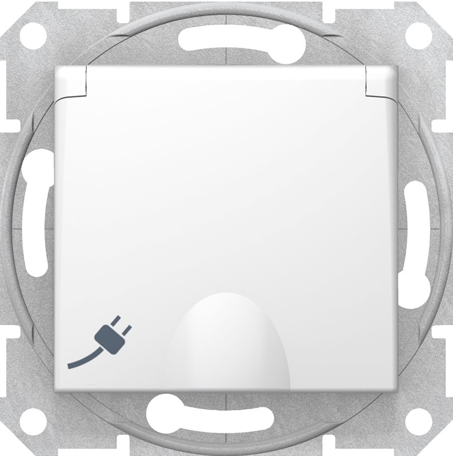 Розетка Schneider Sedna SDN3100121