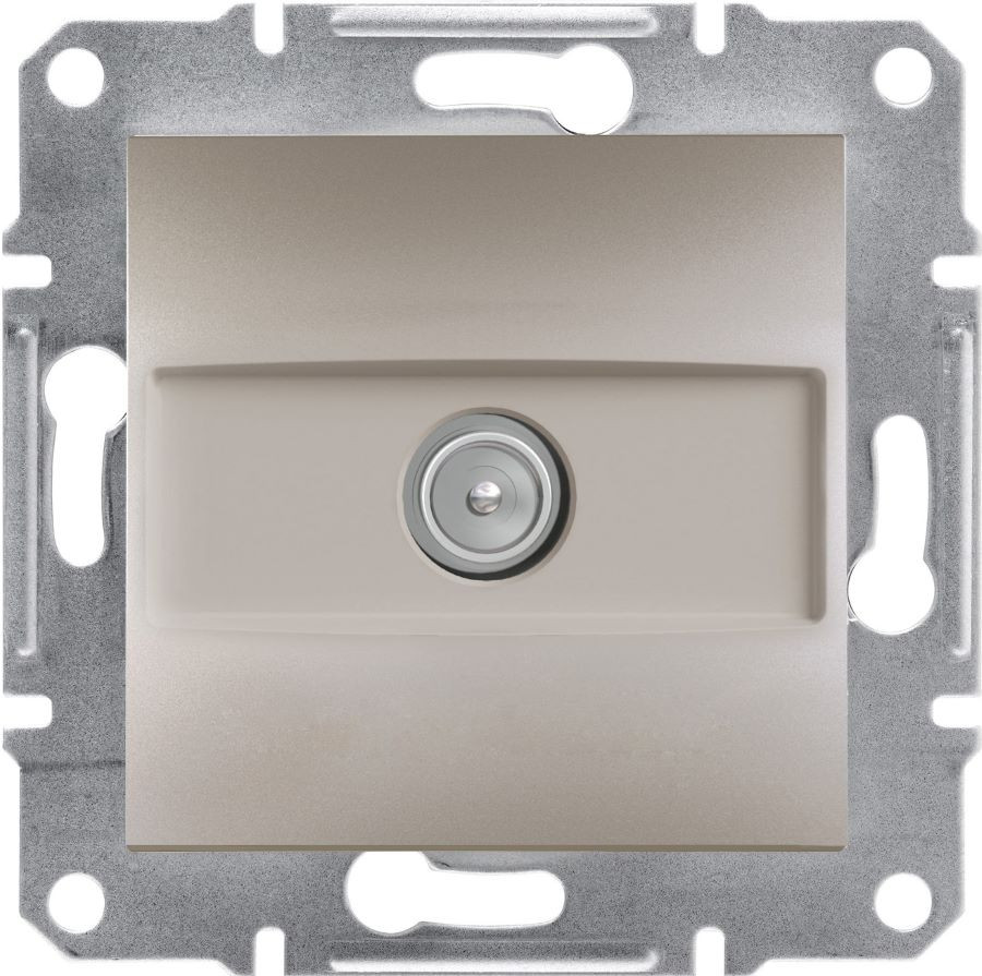 Розетка Schneider Asfora EPH3200269