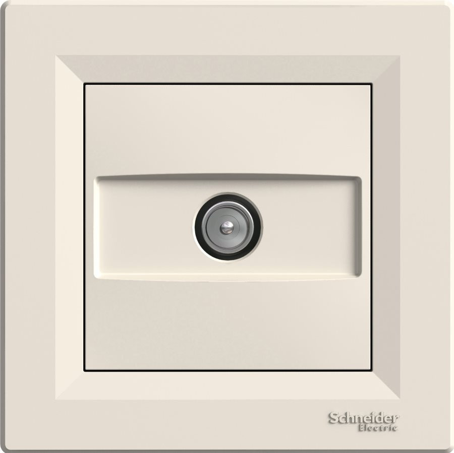 Розетка Schneider Asfora EPH3200223