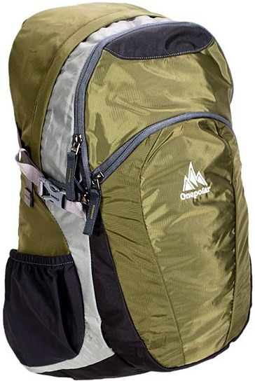 Рюкзак One Polar 1739