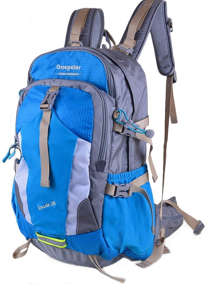 Рюкзак One Polar 1729