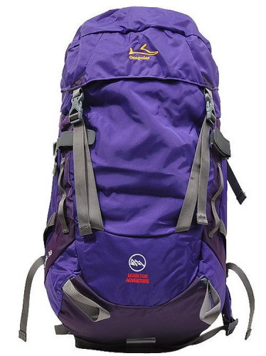 Рюкзак One Polar 1703