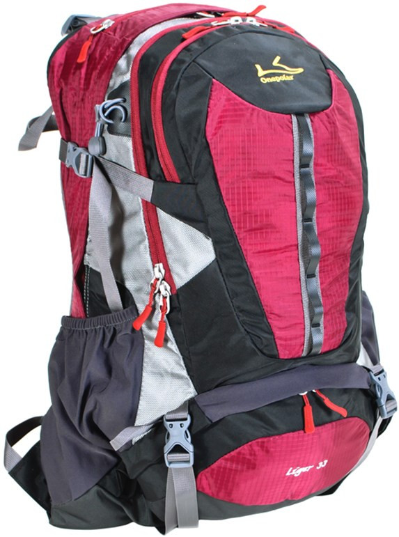 Рюкзак One Polar 1597