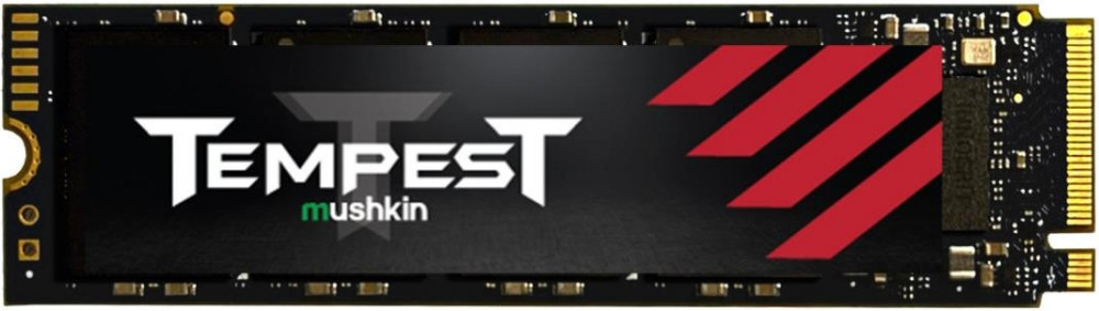 SSD Mushkin Tempest MKNSSDTS256GB-D8 256 ГБ