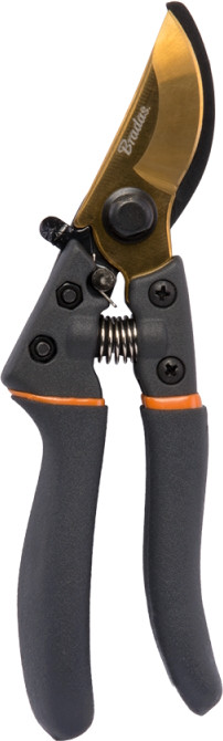 Секатор Bradas KT-V1021