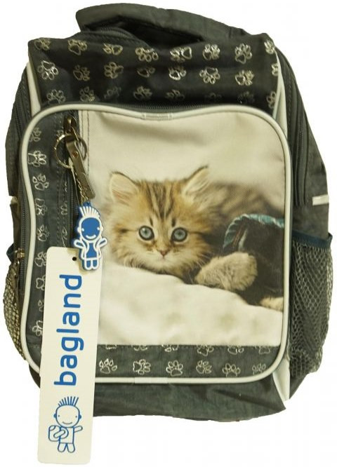 Рюкзак Bagland 0011270